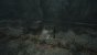 The Medium (3.840 × 2.160, maxed + maxed RT @ 2.560 × 1.440) (49)