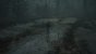 The Medium (3.840 × 2.160, maxed + maxed RT @ 2.560 × 1.440) (50)