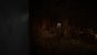 The Medium (3.840 × 2.160, maxed + maxed RT @ 2.560 × 1.440) (69)