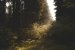 Update vom 07.02.2021: Foto von rtf