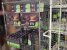 Geforce RTX 3060: Angeblich erste Dollar-Preise der Custom-Designs, Gebrauchtkarten schon im Umlauf? (1)