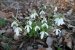 Update vom 27.03.2021: Foto von mattinator