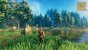 Valheim Early Access (18)