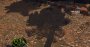 Dirt 5 Raytracing Schatten LOD