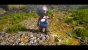 Biomutant im Test: Flauschig-charmante Mischung aus Just Cause und Borderlands 3 (Bilder: 4K maxed &amp; downsampled) (19)