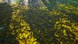 Biomutant UHD maxed und downsampled 105
