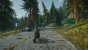 Days Gone (13)