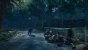 Days Gone (29)
