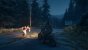 Days Gone (30)