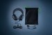 Mit dem Razer BlackShark V2 den E-Sport-Thron erklimmen
