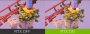 Raytracing Ambient Occlusion