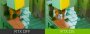 Raytracing Global Illumination