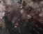 Company of Heroes 3 kommt 2022: Pre-Alpha jetzt schon möglich (4)
