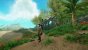 New World Closed Beta (31)
