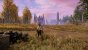 New World Closed Beta - Der Startpunkt unserer Grafikkarten-Benchmarks