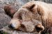 Update vom 25.07.2021: Foto von JackA