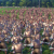 A Total War Saga Troy: Kein AA = 1 Sample pro Pixel