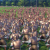 A Total War Saga Troy: Max. MSAA = 8 Samples pro Pixel
