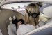 Mercedes Vision AVTR Brain Computer Interface