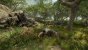 New World (16)