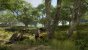 New World (18)