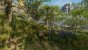 New World (23)