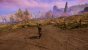 New World (50)