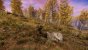 New World (57)