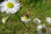 Update vom 05.09.2021: Foto von mattinator