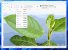 Windows Insider haben kürzlich Zugriff auf das neue Paint für Windows 11 erhalten. (3)