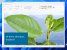 Windows Insider haben kürzlich Zugriff auf das neue Paint für Windows 11 erhalten. (5)