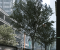 Crysis 2 Remastered 1 DLSS Q cr