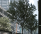 Crysis 2 Remastered 1 DLSS UP cr