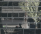 Crysis 2 Remastered 2 RT DLSS B cr