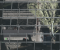 Crysis 2 Remastered 2 RT DLSS Q cr