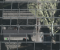 Crysis 2 Remastered 2 RT SMAA T2X cr