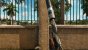 Far Cry 6 HD Textures enabled 2