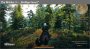 The Witcher 3 (2015) – "Skellige Forest"