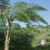 Battlefield 2042 AA 2 DLSS UP