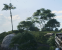Battlefield 2042 AA 3 DLSS B