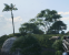 Battlefield 2042 AA 3 DLSS P