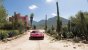 Forza Horizon 5 (3)