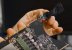 Nvidia CMP 170HX: Stromanschluss