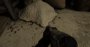 Shadow Maps 2