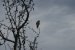Update vom 25.12.2021: Foto von mattinator
