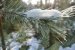 Update vom 25.12.2021: Foto von mattinator