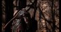 God of War PC (Bilder: 4K DCI maxed &amp; Lanczos-downsampled @ 1440p) (16)