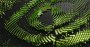 Nvidia im CES-Livestream