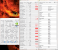 Geforce RTX 3090 Ti: GPU-Z Overview