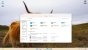 Datei Explorer mit Schnellzugriff in Windows 11